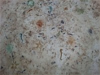 Stamped Concrete Overlay
