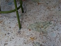 Stamped Concrete Overlay