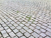 Pavers & Maintenance