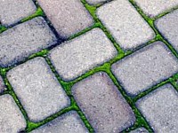 Pavers & Maintenance