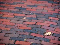 Pavers & Maintenance