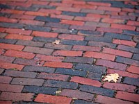 Pavers & Maintenance