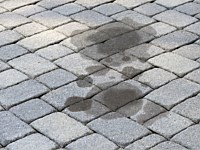 Pavers & Maintenance