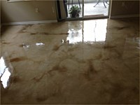 Acid Staining Concrete